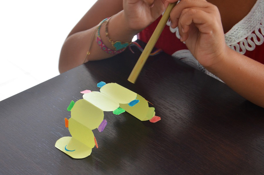 Chenille papier/Chenille papier paille